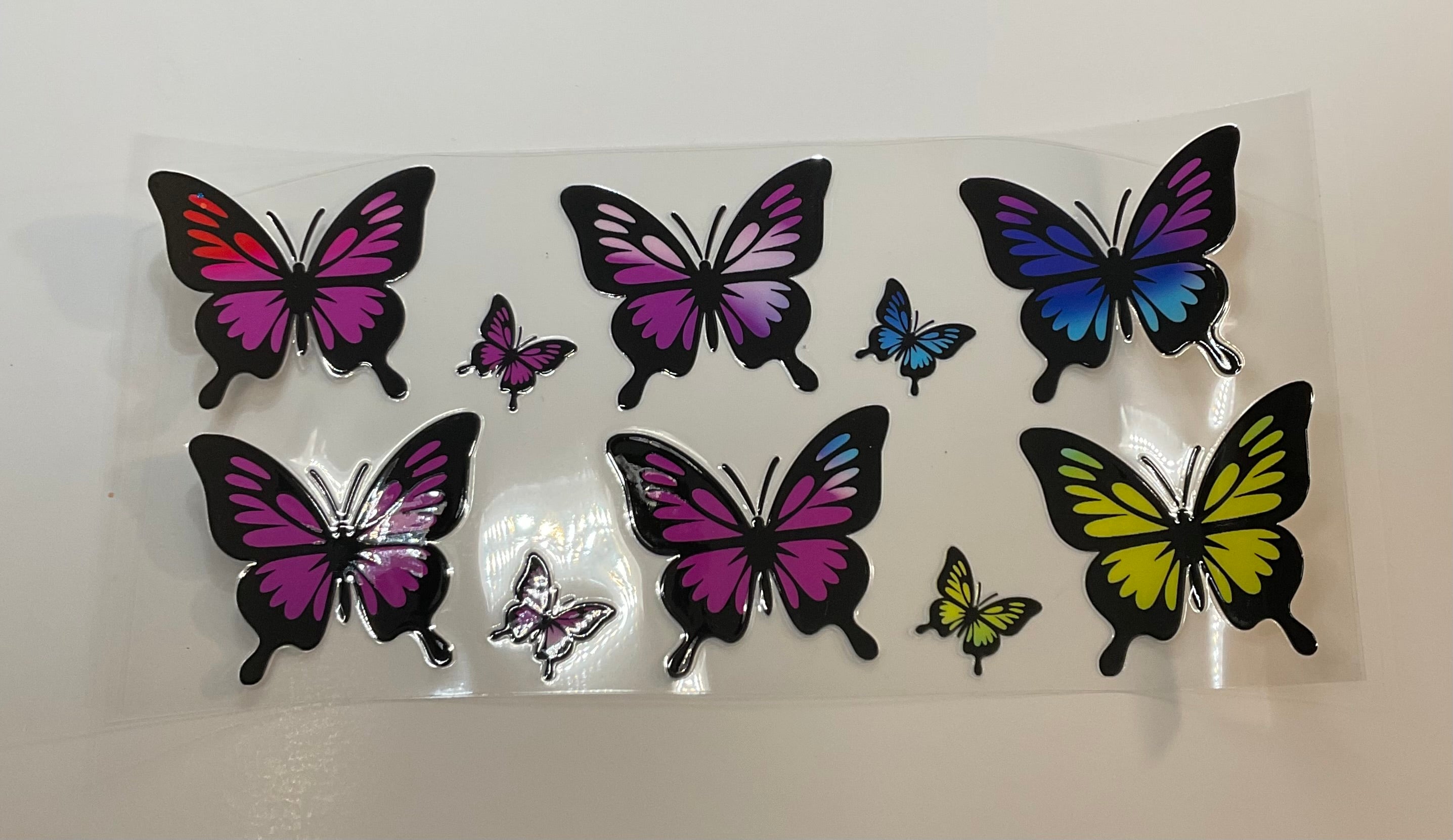 Butterflies 6