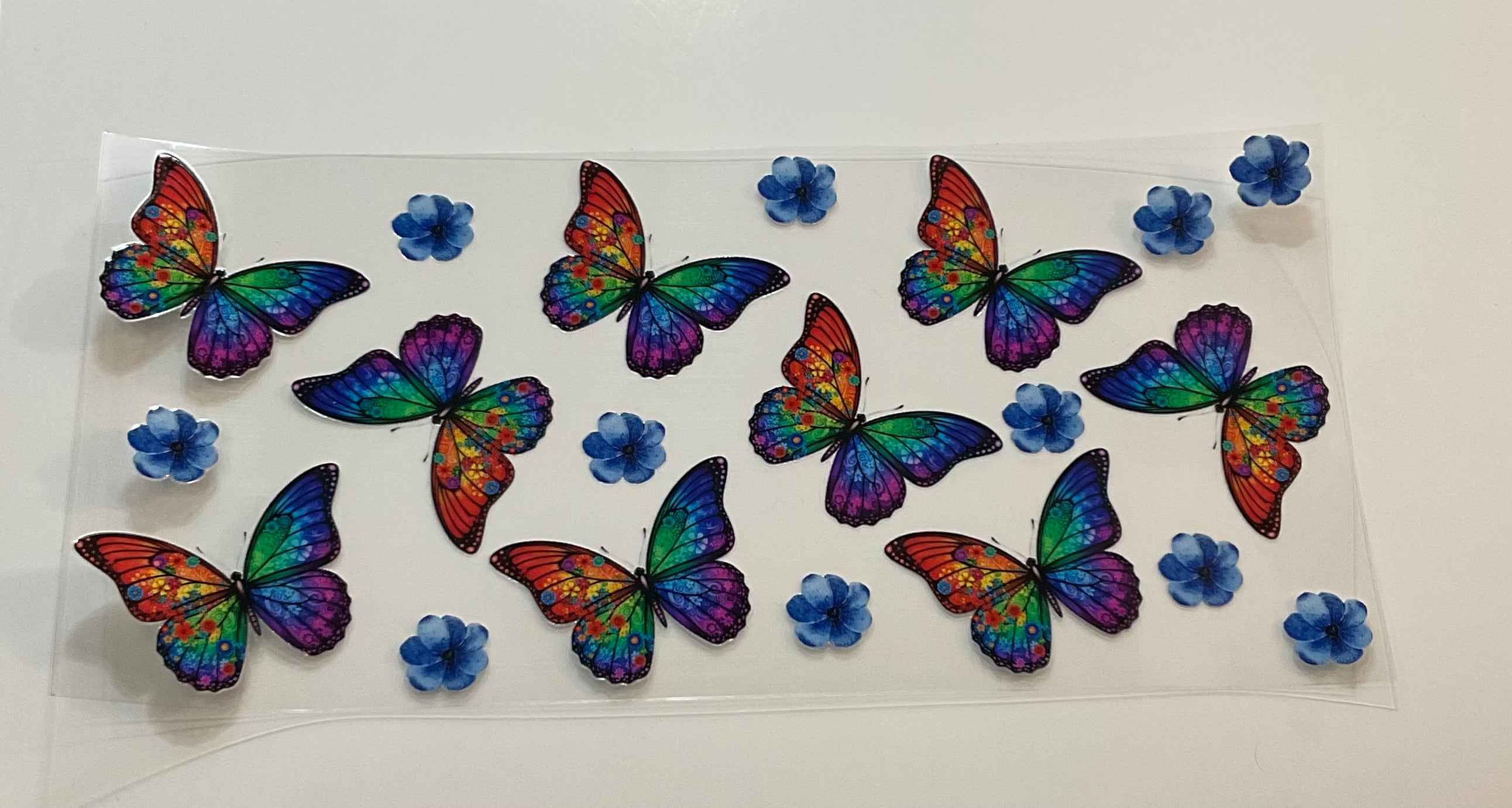 Butterflies 17