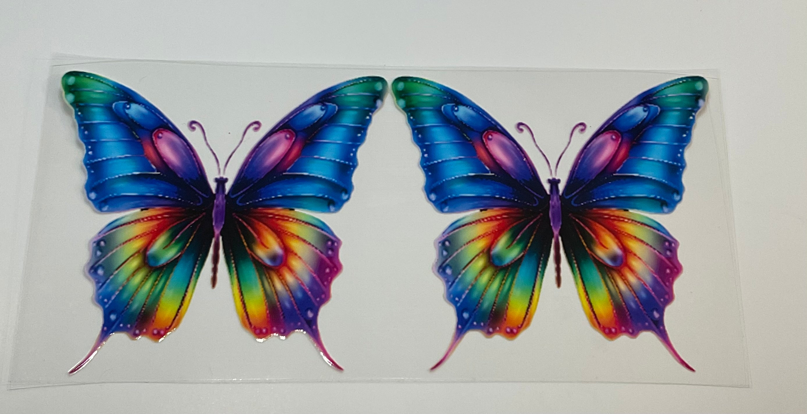 Butterflies 20