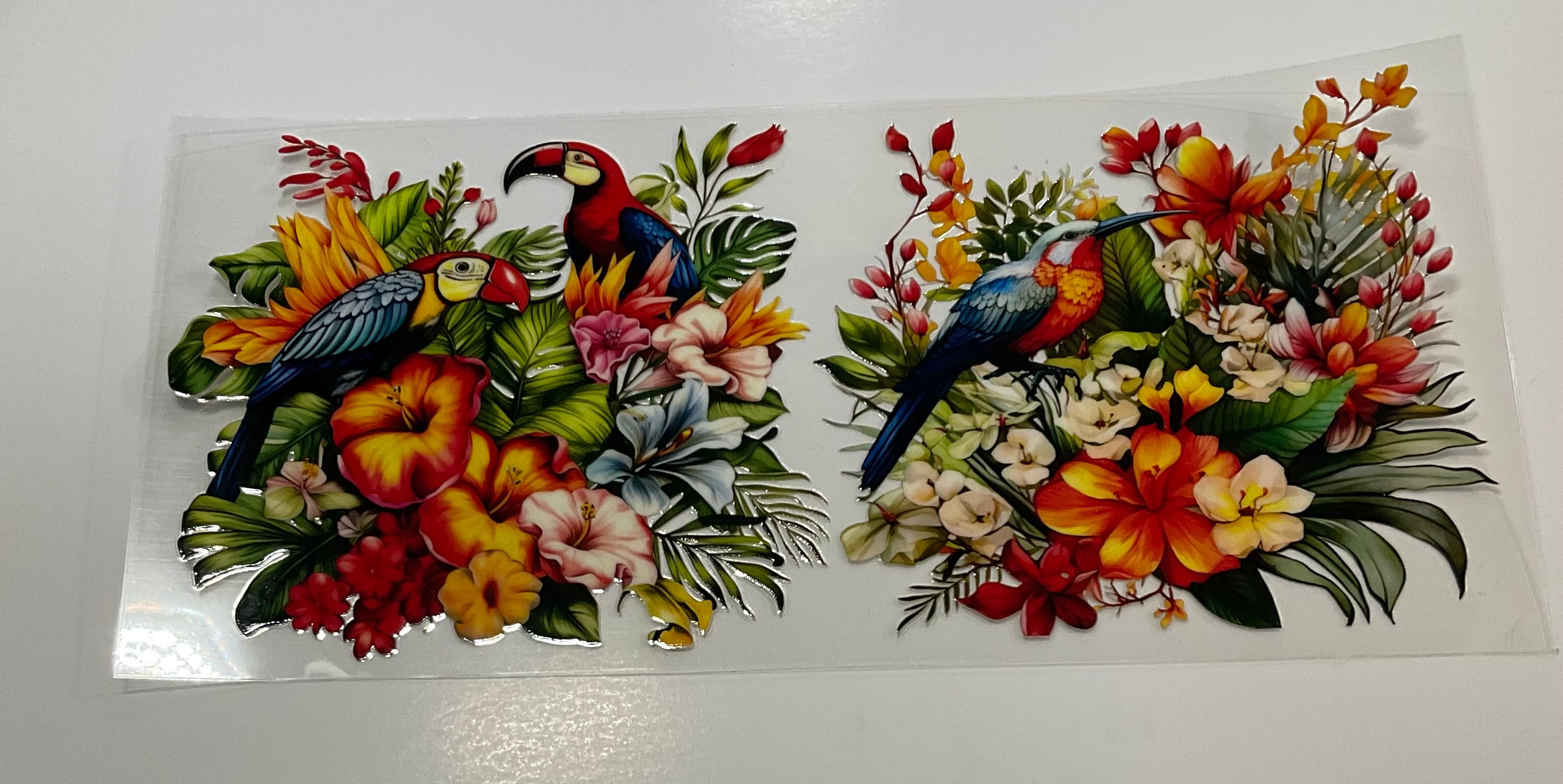 Birds 8