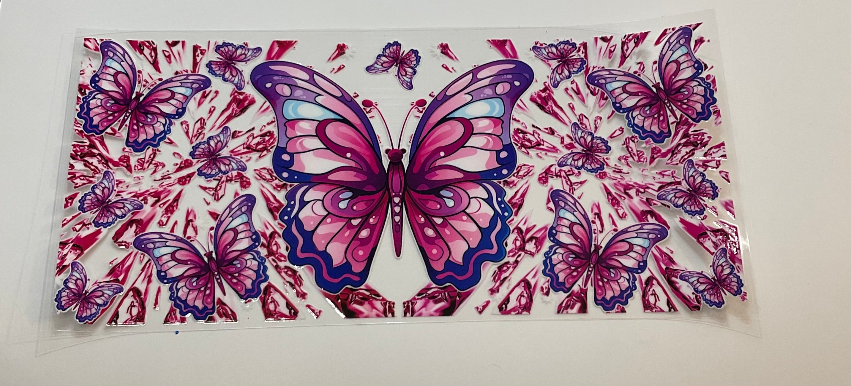Butterflies 19