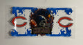 BEARS 5