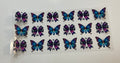 Butterflies 15