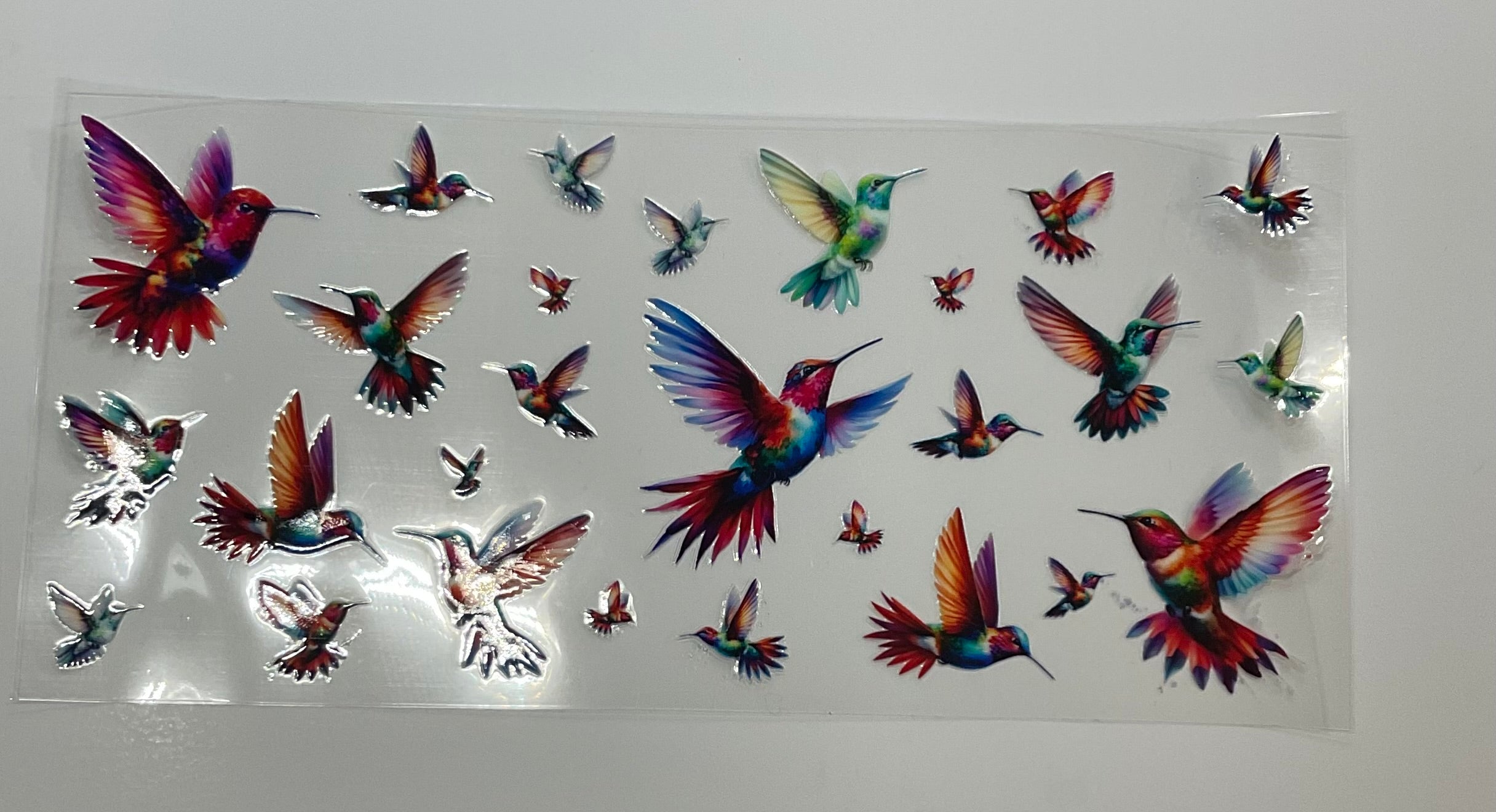 Birds 1