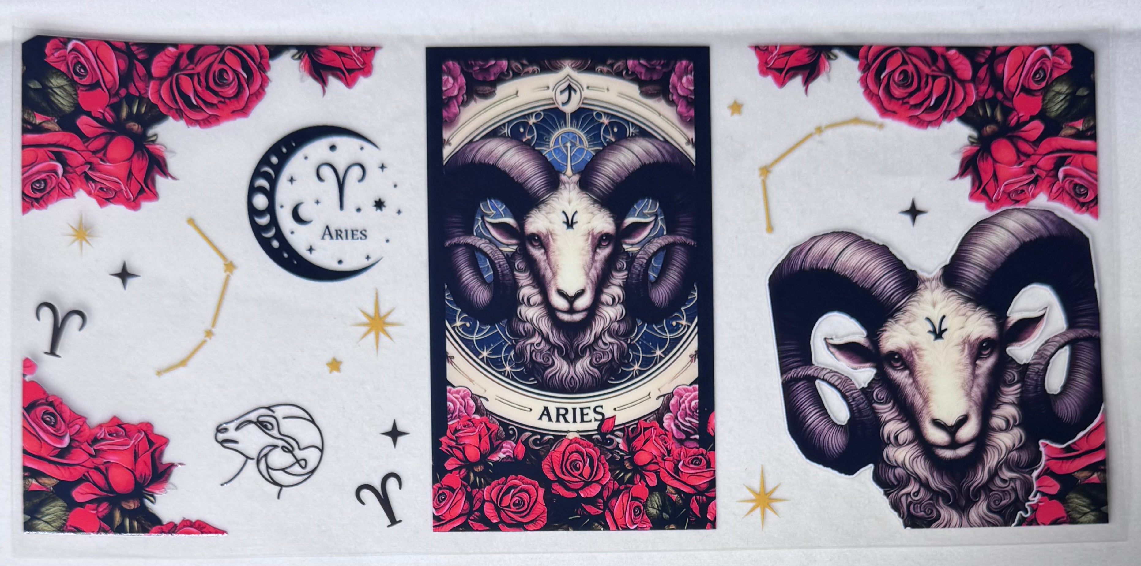 ARIES 2
