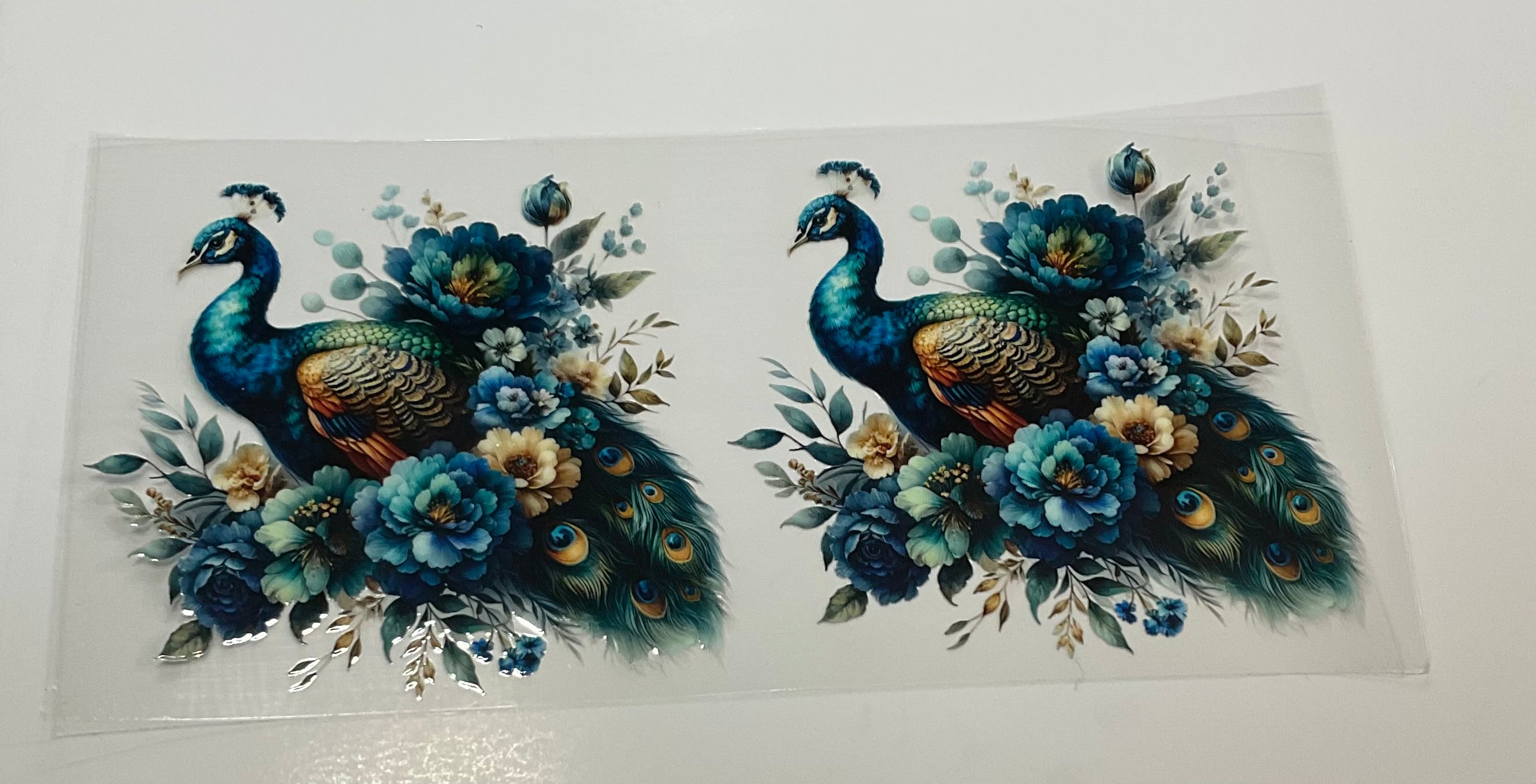 Birds 2