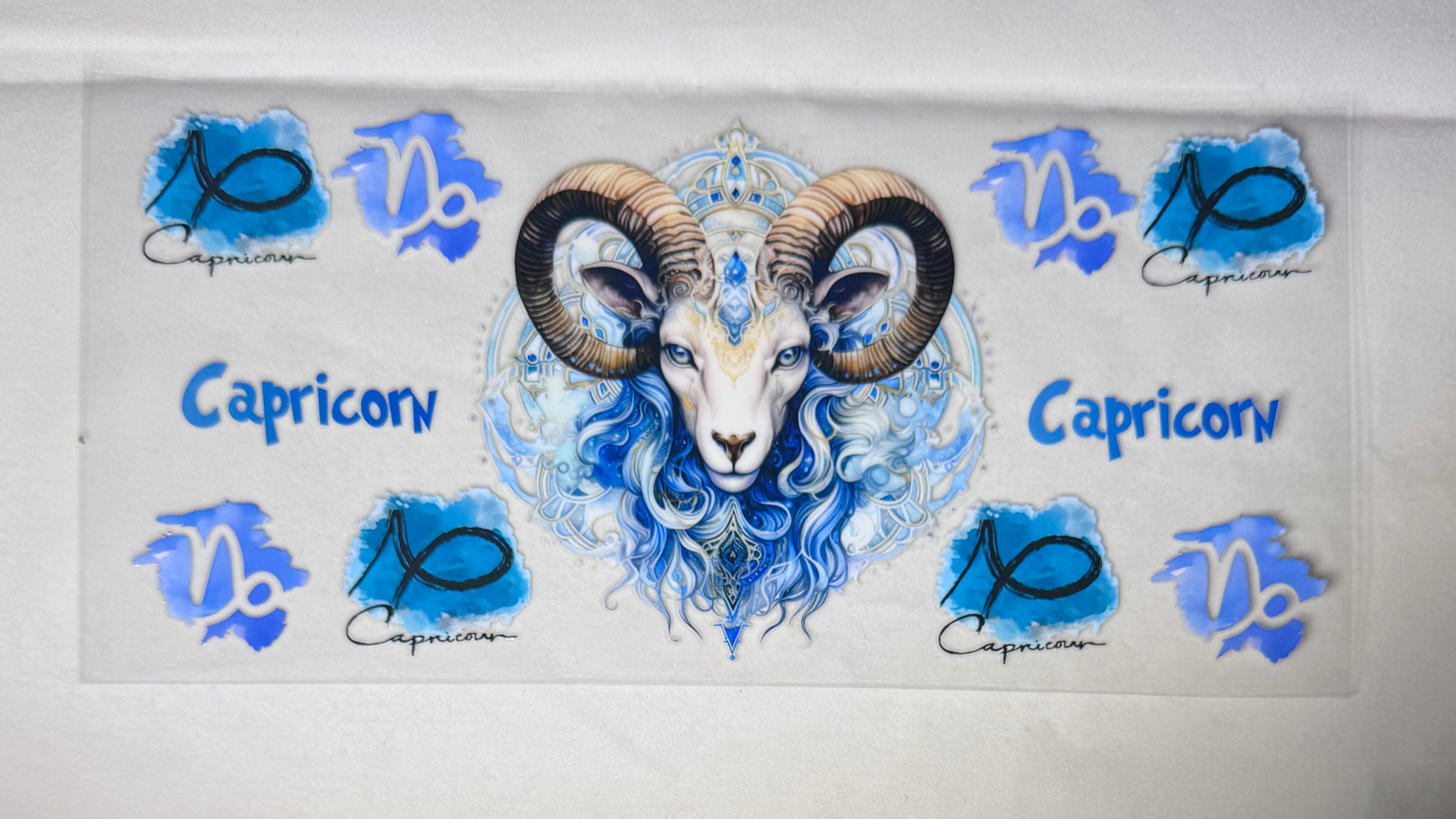 CAPRICORN 1