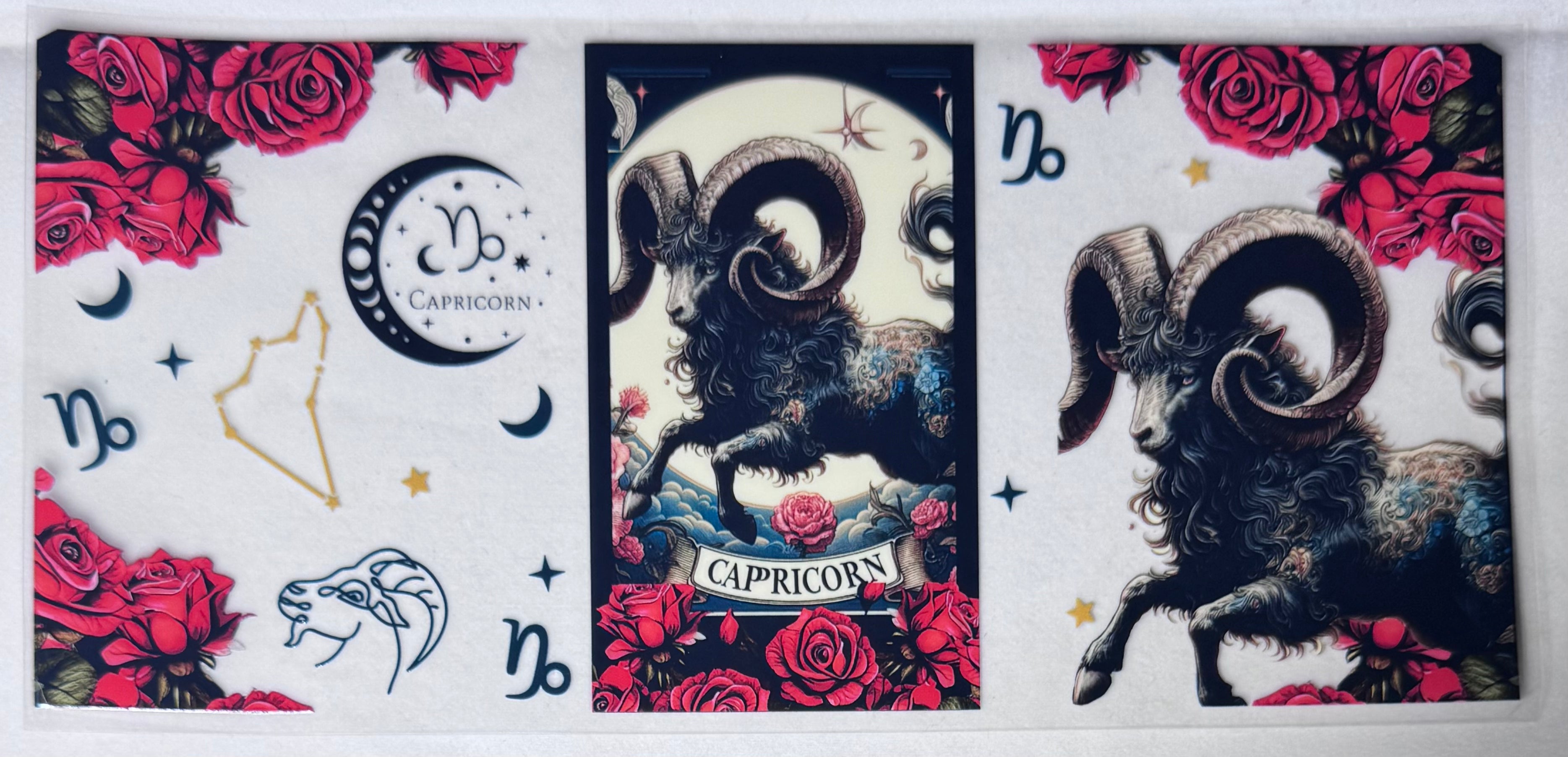 CAPRICORN 2