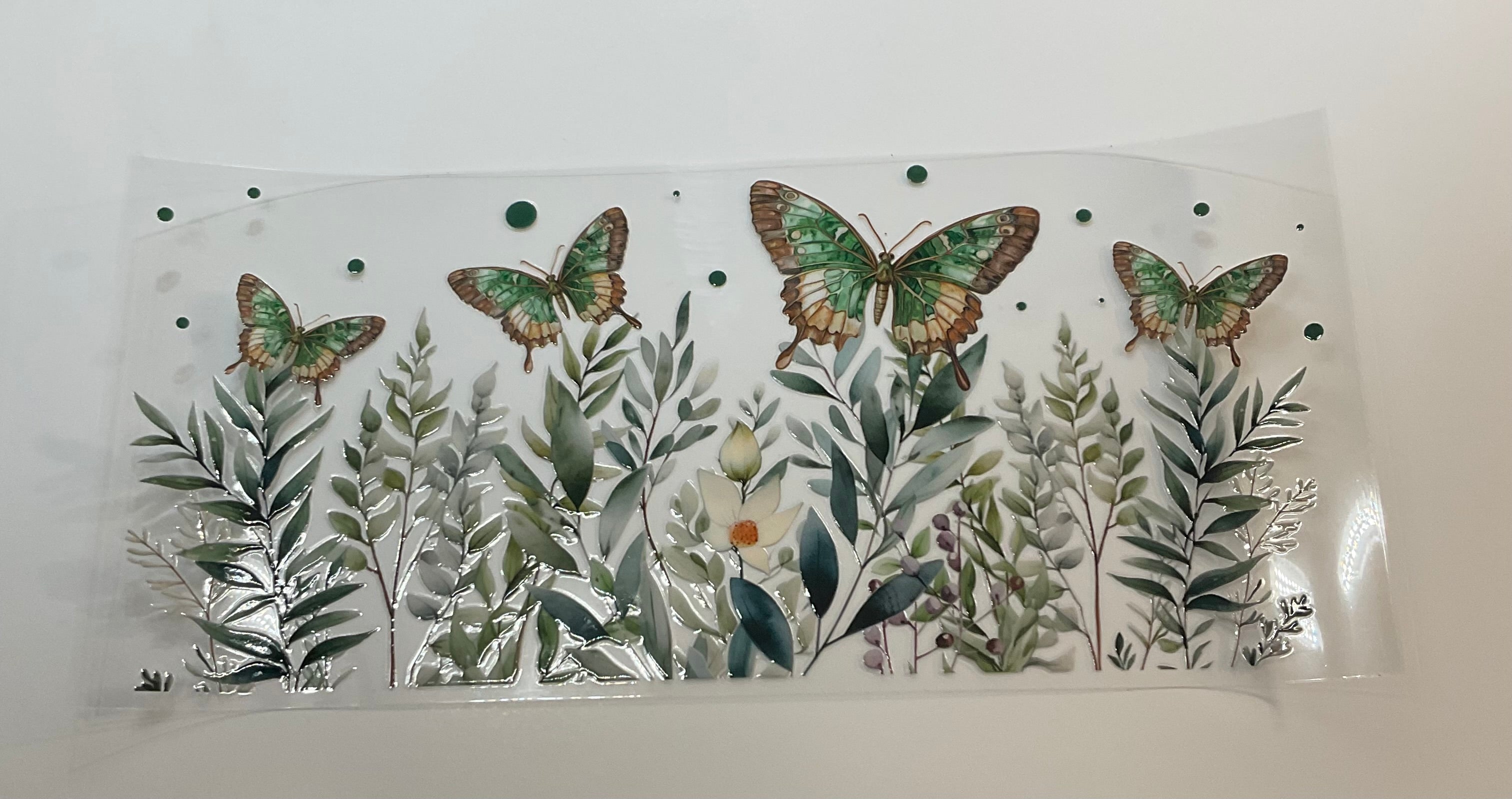 Butterflies 5