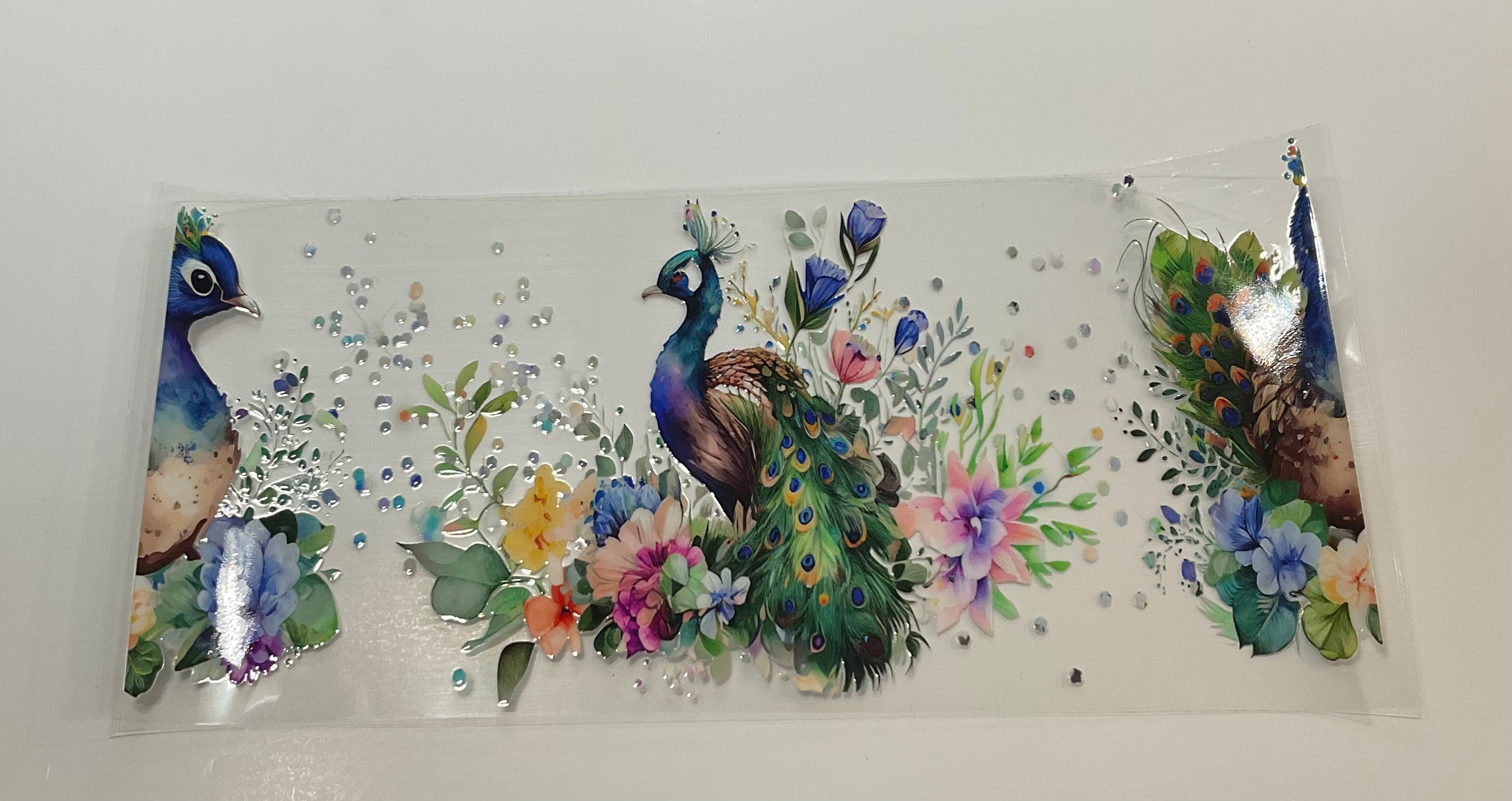 Birds 10