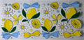 FRUIT 26