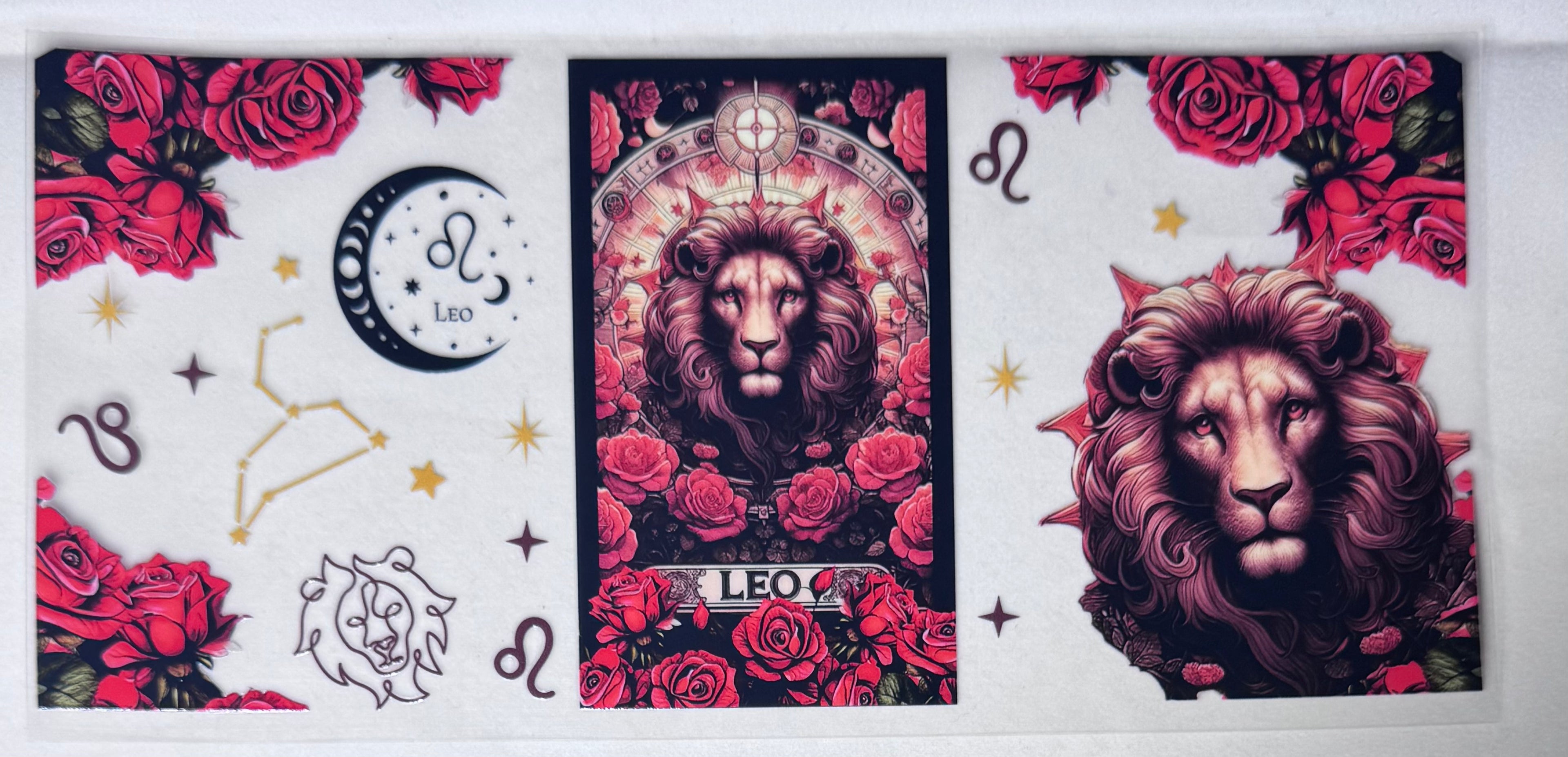 LEO 2