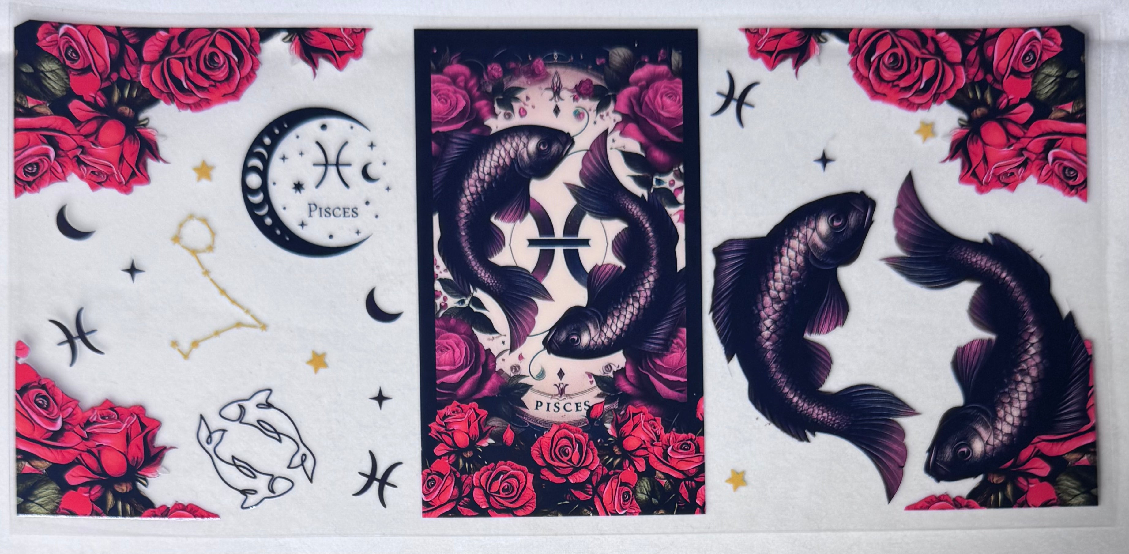 PISCES 2