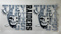 RAIDERS 6