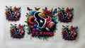 TEXANS 3